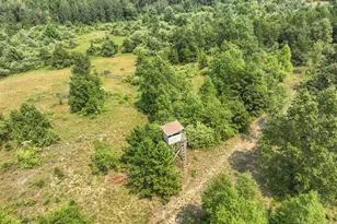 4353 E 6 Mile Rd, Luther, MI 49656 - Photo 56