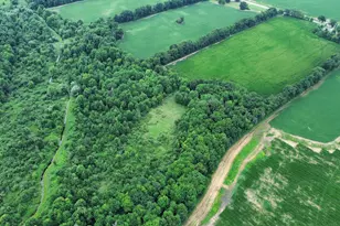 54539 Buckhorn Rd, Three Rivers, MI 49093 - Photo 6