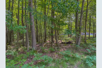 9385 Clubhouse Drive W, Canadian Lakes, MI 49346 - Photo 4