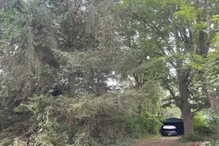 114 S Bronson St, New Buffalo, MI 49117 - Photo 4