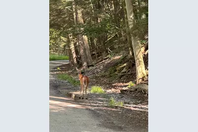 0 Fruitvale Road, Montague, MI 49437 - Photo 2