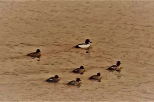 5701 Head Lake Rd, Hastings, MI 49058 - Photo 72