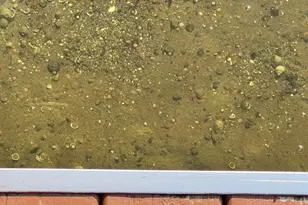 5701 Head Lake Rd, Hastings, MI 49058 - Photo 4