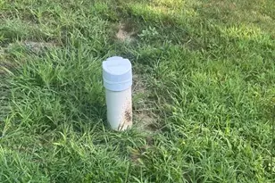 8039 Riley Rd, Farwell, MI 48622 - Photo 26