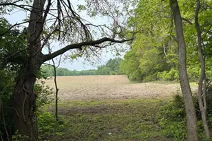 09528 57th St, Grand Junction, MI 49056 - Photo 10