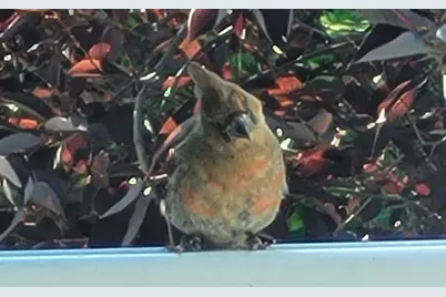 211 Bluff Avenue, Eastlake, MI 49626 - Photo 92