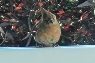 211 Bluff Ave, Eastlake, MI 49626 - Photo 92