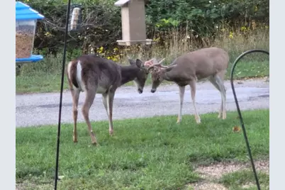 211 Bluff Avenue, Eastlake, MI 49626 - Photo 94