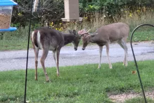 211 Bluff Ave, Eastlake, MI 49626 - Photo 94