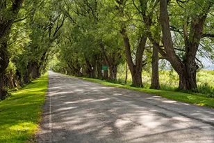 211 Bluff Ave, Eastlake, MI 49626 - Photo 76