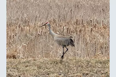 211 Bluff Avenue, Eastlake, MI 49626 - Photo 98