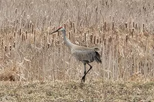 211 Bluff Ave, Eastlake, MI 49626 - Photo 98