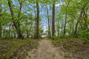 5797 Wildwood Dr, Bridgman, MI 49106 - Photo 60