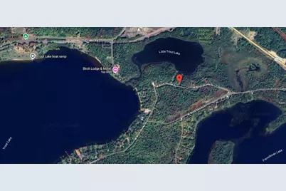 31588 W Birch Shores Drive, Trout Lake, MI 49793 - Photo 36