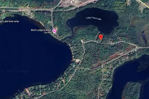 31588 W Birch Shores Dr, Trout Lake, MI 49793 - Photo 36