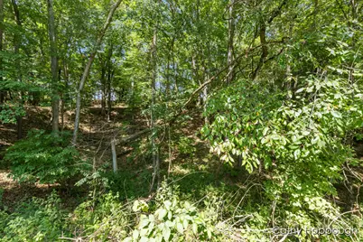 735 Prairie Creek Road, Ionia, MI 48846 - Photo 68