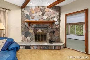 735 Prairie Creek Rd, Ionia, MI 48846 - Photo 10