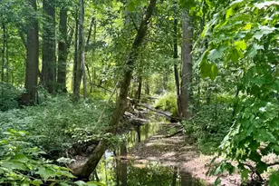 3280 3 1/2 Mile Rd, Athens, MI 49011 - Photo 12