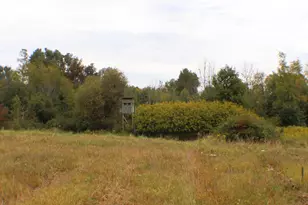 5435 State Rd, Hillsdale, MI 49242 - Photo 76