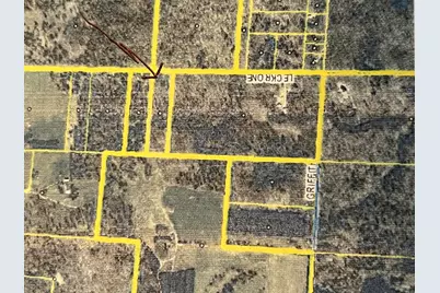 4464 Leckrone Road, Brethren, MI 49619 - Photo 22