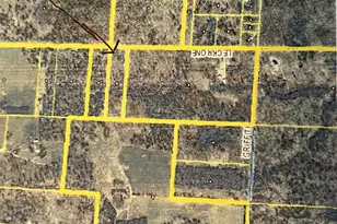 4464 Leckrone Rd, Brethren, MI 49619 - Photo 22