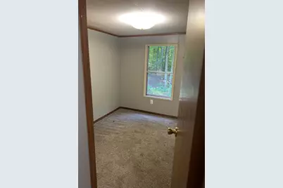 4464 Leckrone Road, Brethren, MI 49619 - Photo 12