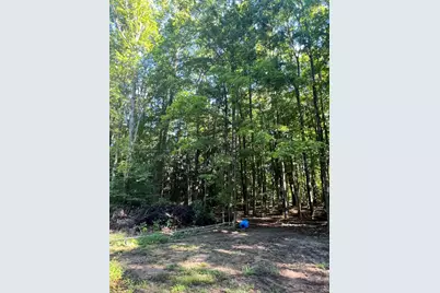 4464 Leckrone Road, Brethren, MI 49619 - Photo 18