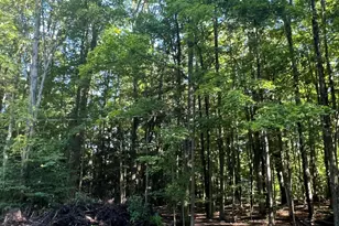 4464 Leckrone Rd, Brethren, MI 49619 - Photo 18