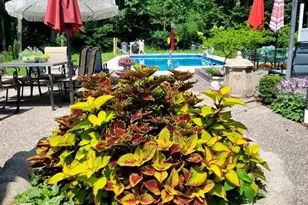 790 Lake St, Saugatuck, MI 49453 - Photo 46