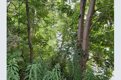 3661 Willow Drive NE, Grand Rapids, MI 49525 - Photo 4