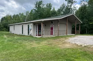 90 E Knox Rd, Beaverton, MI 48612 - Photo 1