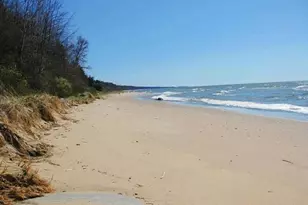 1007 Orchard Ave, South Haven, MI 49090 - Photo 44