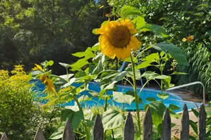 6475 Olive Branch Rd, Galien, MI 49113 - Photo 56