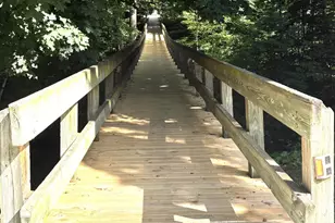 264 Hubbard St, South Haven, MI 49090 - Photo 6