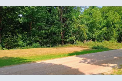 982 Stanton Road, Sherwood, MI 49089 - Photo 14