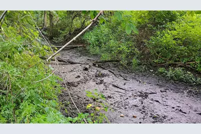 982 Stanton Road, Sherwood, MI 49089 - Photo 30