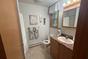 4754 White Pine Ln, Cadillac, MI 49601 - Photo 18