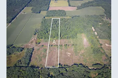 Parcel A N 168th Avenue, Walkerville, MI 49459 - Photo 1