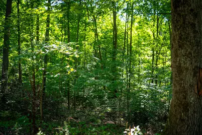 Parcel B N 168th Avenue, Walkerville, MI 49459 - Photo 28