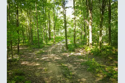 Parcel B N 168th Avenue, Walkerville, MI 49459 - Photo 4