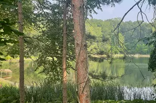 8050 Wilderness Trail NE, Ada, MI 49301 - Photo 4