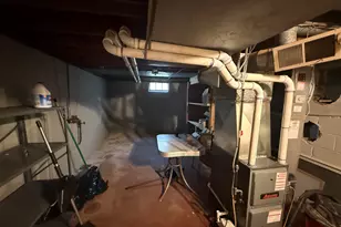 109 E Pine St, Fremont, MI 49412 - Photo 22