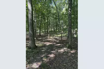 781 Hopkins Road, Lyons, MI 48851 - Photo 100