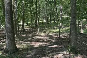 781 Hopkins Rd, Lyons, MI 48851 - Photo 100