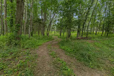 781 Hopkins Road, Lyons, MI 48851 - Photo 18