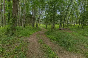 781 Hopkins Rd, Lyons, MI 48851 - Photo 18