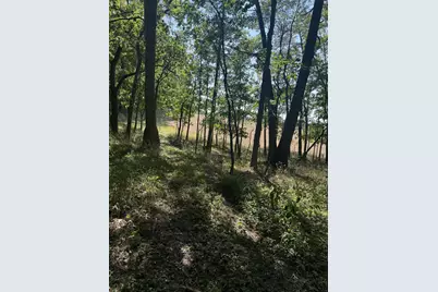 781 Hopkins Road, Lyons, MI 48851 - Photo 102