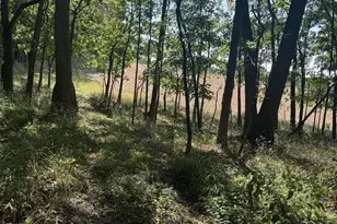781 Hopkins Rd, Lyons, MI 48851 - Photo 102