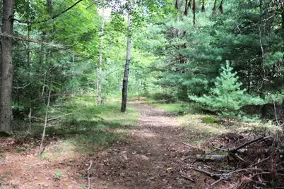 10757 Cedar Road, Lake, MI 48632 - Photo 52