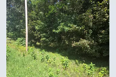 Vl Whitehall Road, Whitehall, MI 49461 - Photo 2